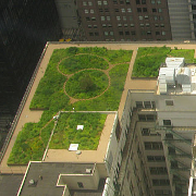 Chicago_City_Hall_green_roof_180